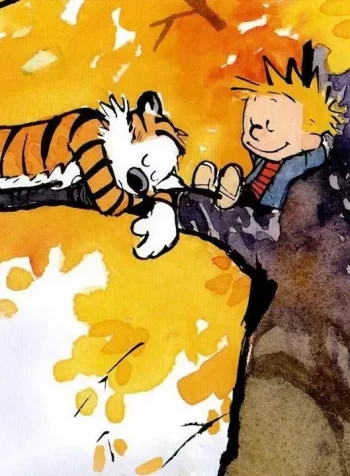 the-complete-calvin-and-hobbes-paperback-box-set-is-back-dow_ehvu.1280