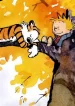 the-complete-calvin-and-hobbes-paperback-box-set-is-back-dow_ehvu.1280